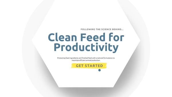 Anitox Multi-Point Intervention Programs - Page 1