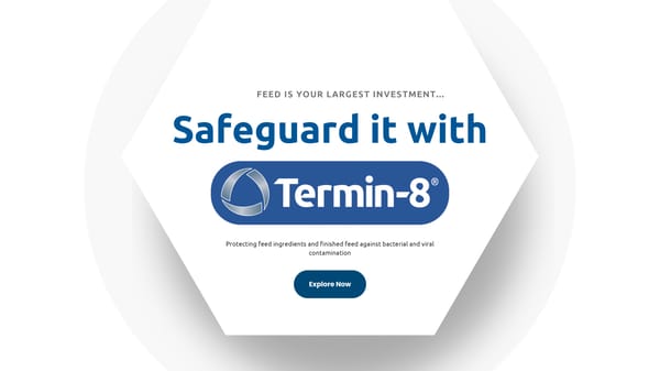 Termin-8 Presentation (Poultry) - Page 1