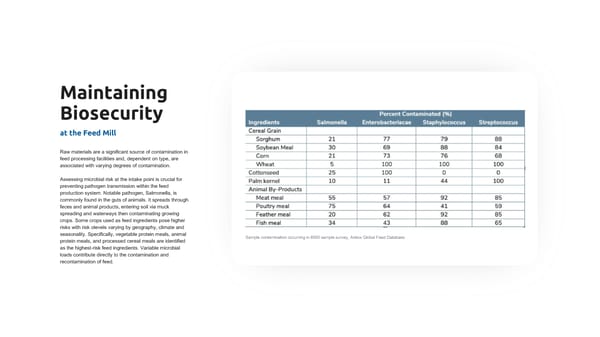 Termin-8 Presentation (Poultry) - Page 4