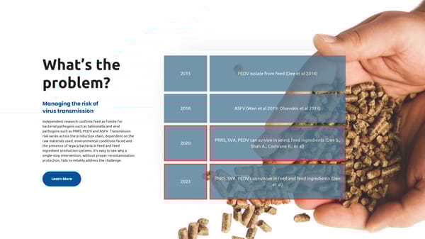 Termin-8 Presentation (Swine) - Page 2