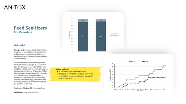 Clean Feed for Productivity - Page 6